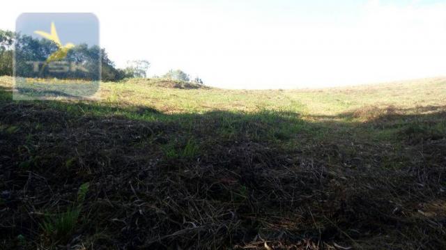 CH0314 Mandirituba 4.200 m² de área p/ Chácara com tanque luz 300 m asfalto - Foto 12