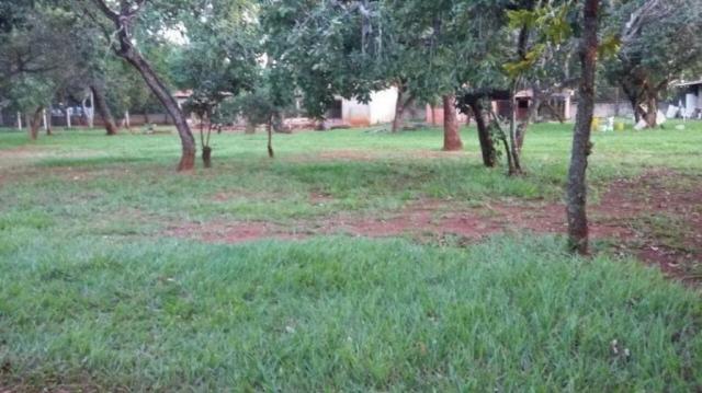 Chácara rural à venda, sítios de recreio mansões do campus, goiânia. - Foto 3