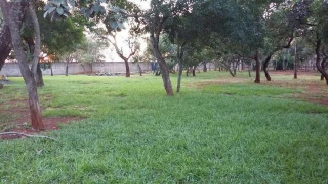 Chácara rural à venda, sítios de recreio mansões do campus, goiânia. - Foto 2