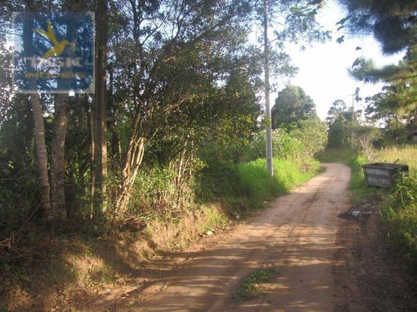 Te0023 agudos do sul - 6 lotes de 337,50 m² cada oportunidade perto da cidade - Foto 5