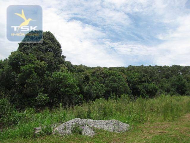 Quatro barras área industrial - 96.000 m² localização estratégica ar0021 - Foto 8