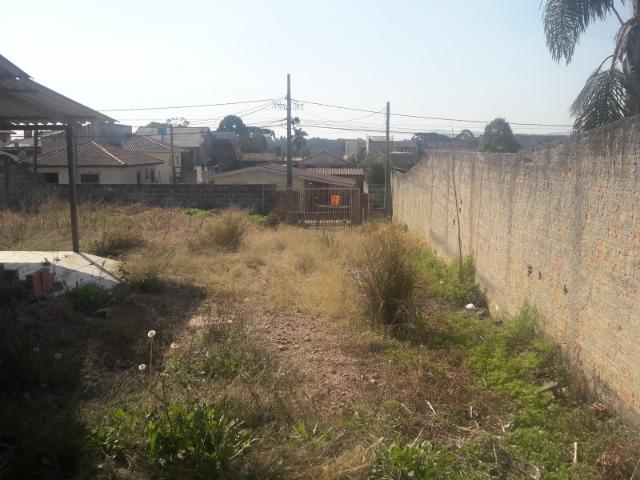 Terreno Borda do Campo - Foto 11