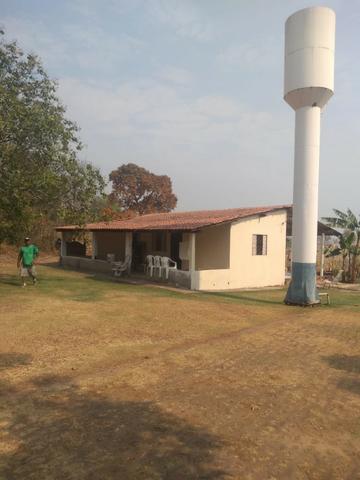 Vendo Sítio com 10 hectares à 23 Km de Cuiabá sentido Santo Antonio, - Foto 20