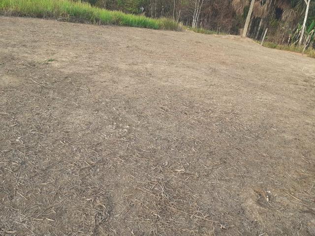 Terrenos - Foto 2