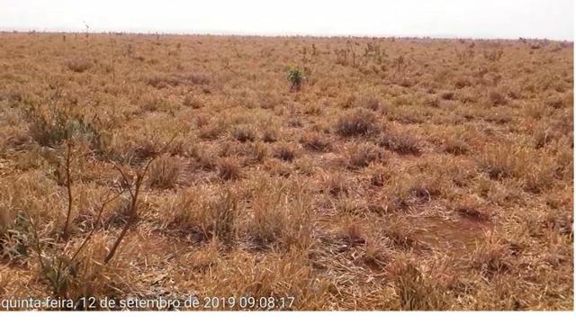 750 Hectares, Pecuária e lavoura, Rosário-MT. Próximo asfalto