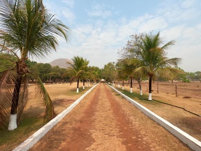 Vendo Sítio com 10 hectares à 23 Km de Cuiabá sentido Santo Antonio,
