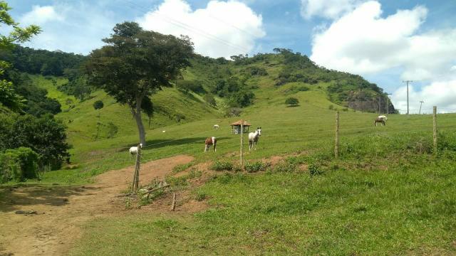Excelente propriedade em Cantagalo!!! - Foto 3