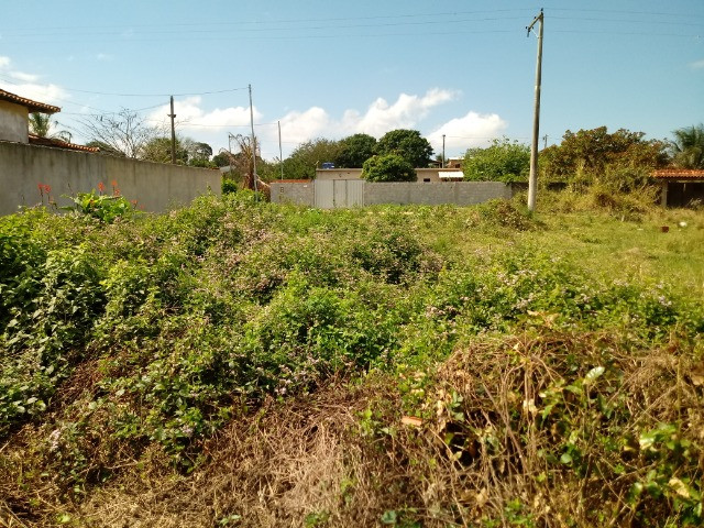Ótimo terreno em araruama - Foto 4