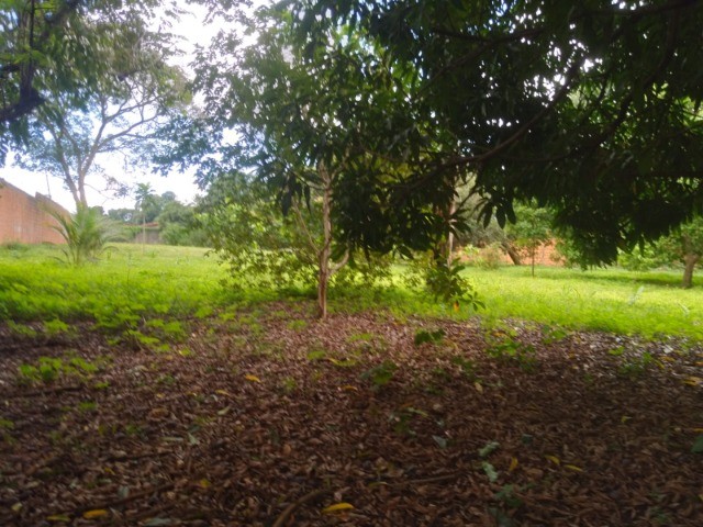 Terreno para Venda - Matinha  - Foto 5