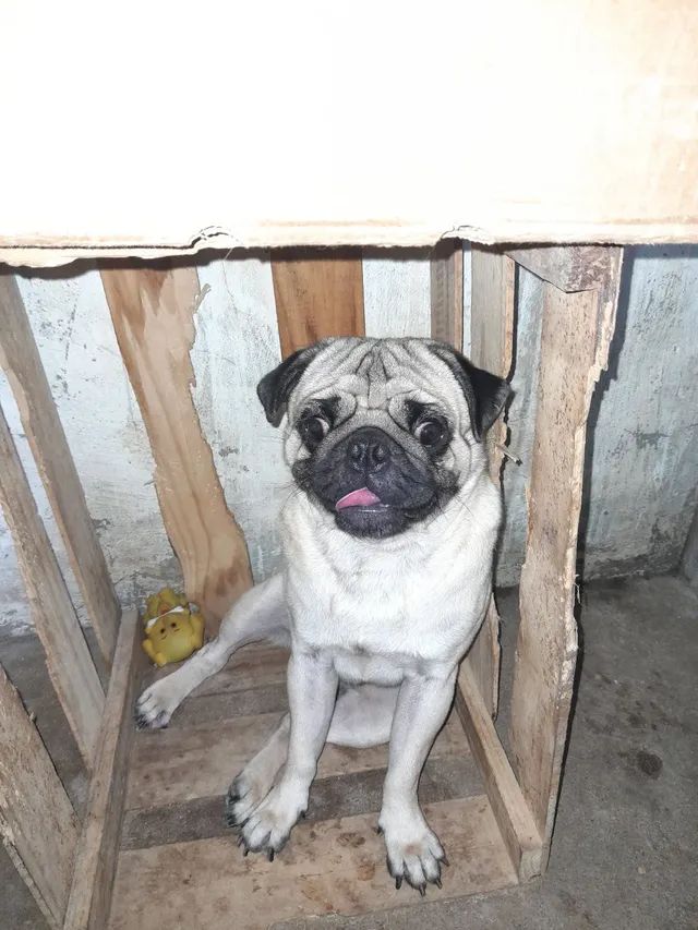 pag