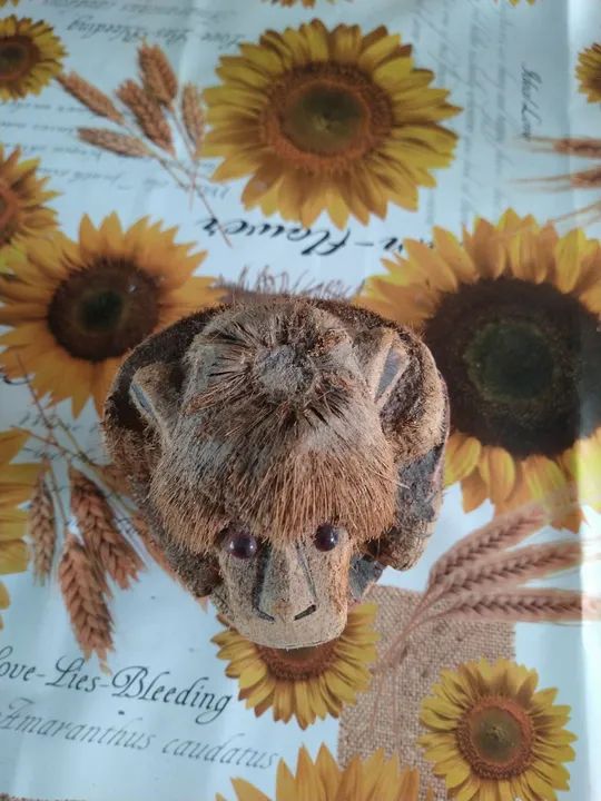 Macaco de côco decorativo. - Foto 4