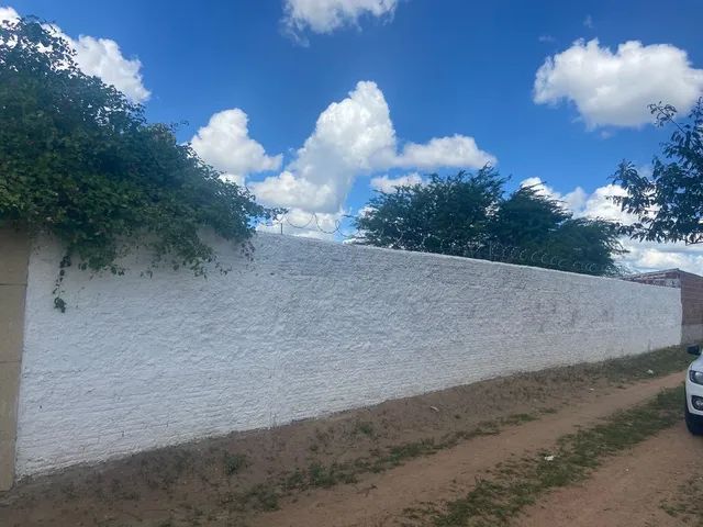 Chácara Em Bom Conselho - PE - Foto 4