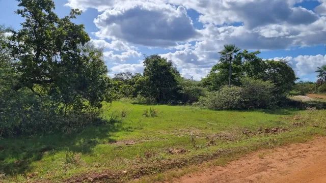 Fazenda em Piracuruca do Piaui - Foto 5