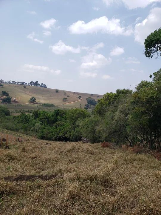 Vendo terreno de chacara em Caldas MG - Foto 5