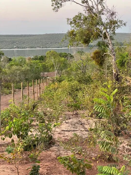 foto - Palmas - Plano Diretor Sul