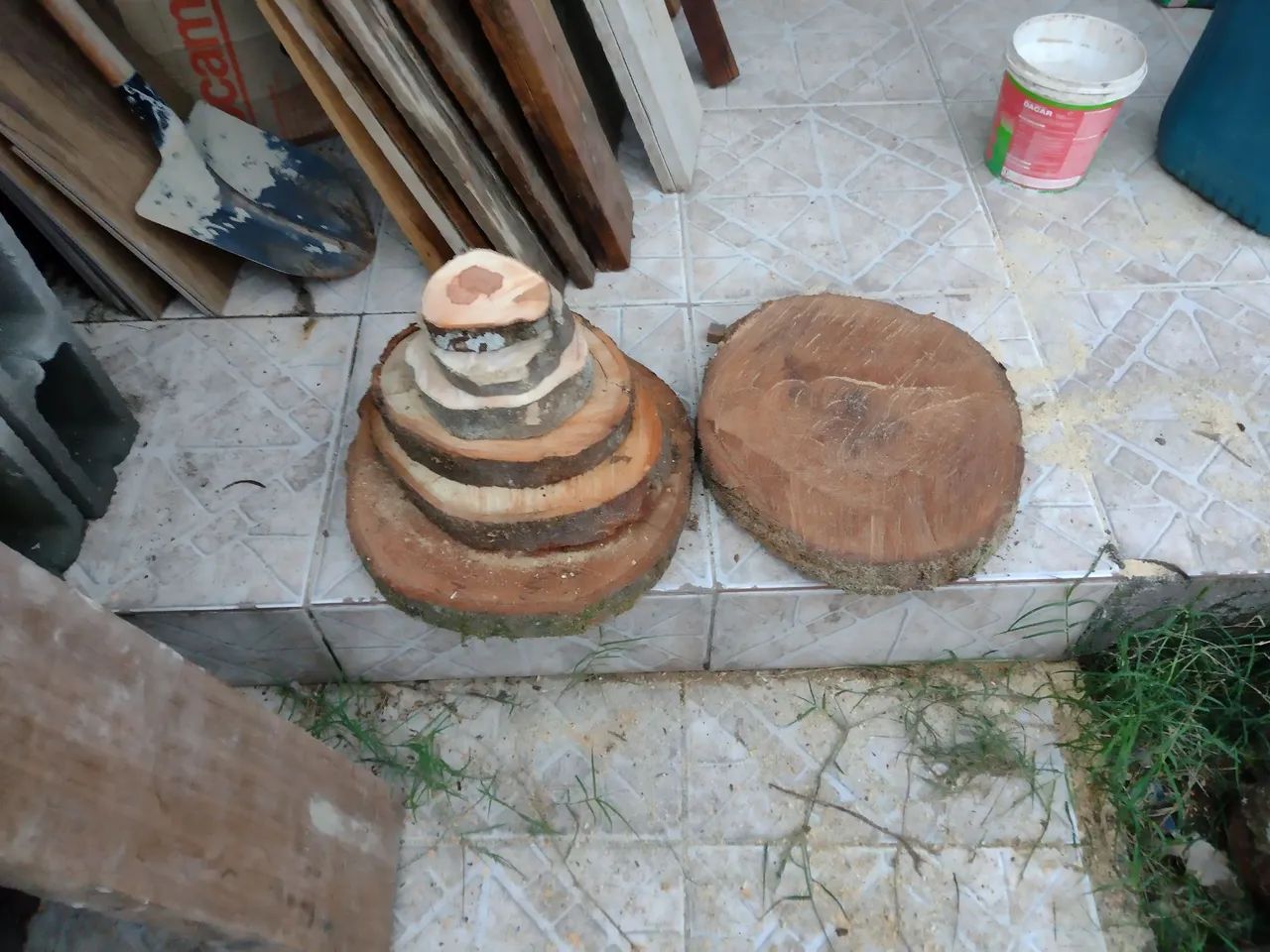 Bolachas de madeiras