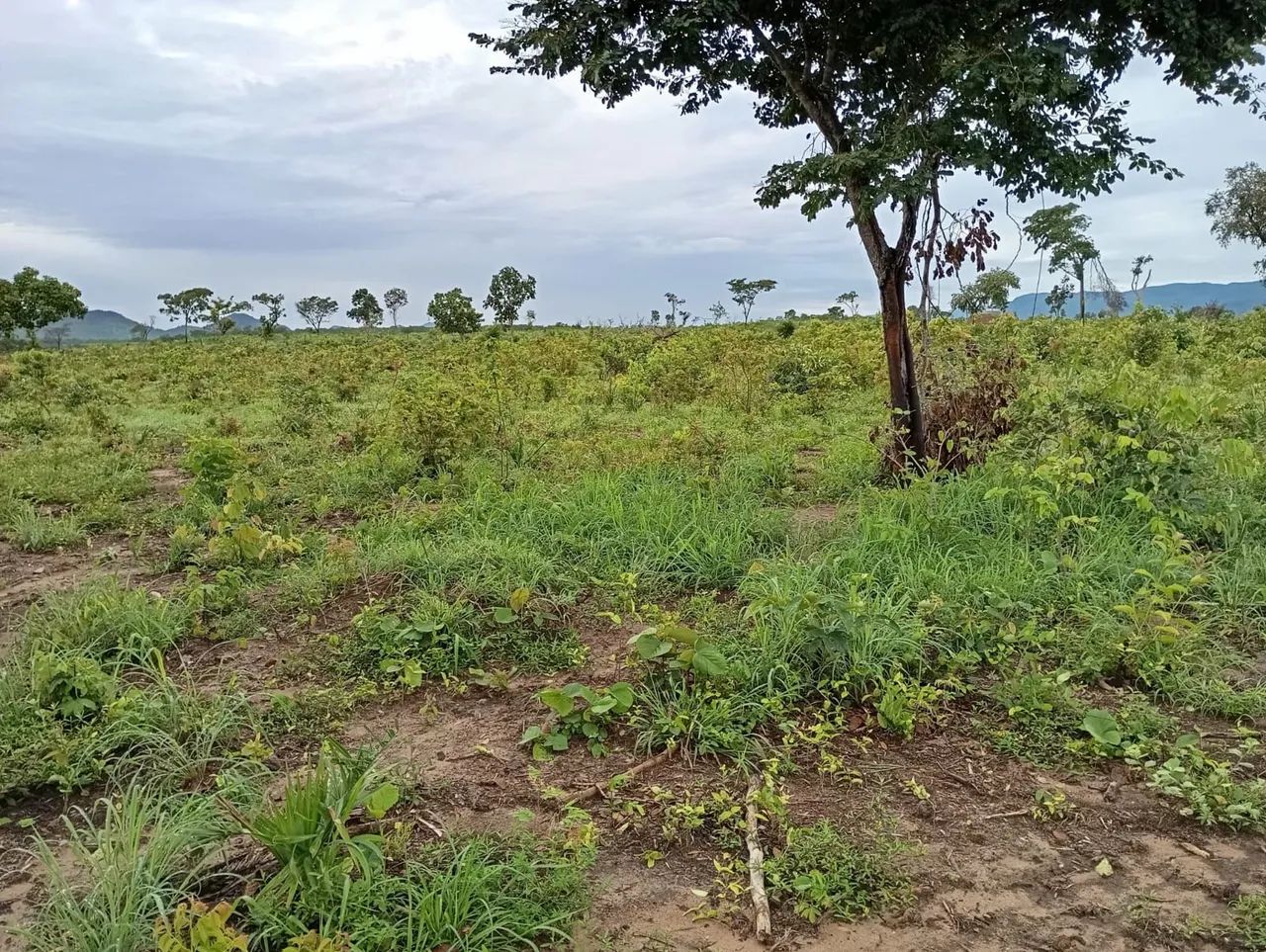Fazenda 187 alq. No Tocantins 80 desmatado 35 formado 32 milhoes - Foto 2