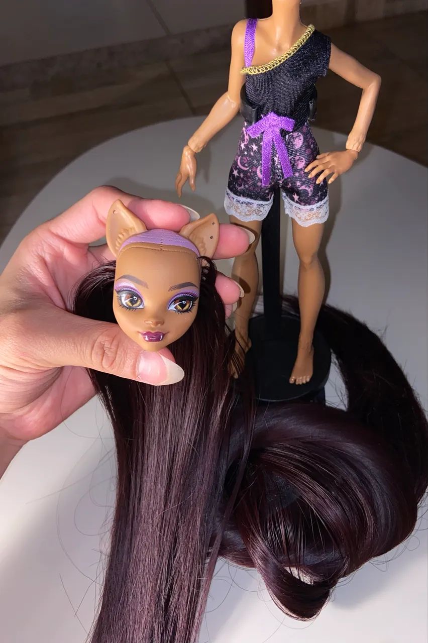 Lote Armários, Caixa, Bonecas e Acessórios Monster High g3