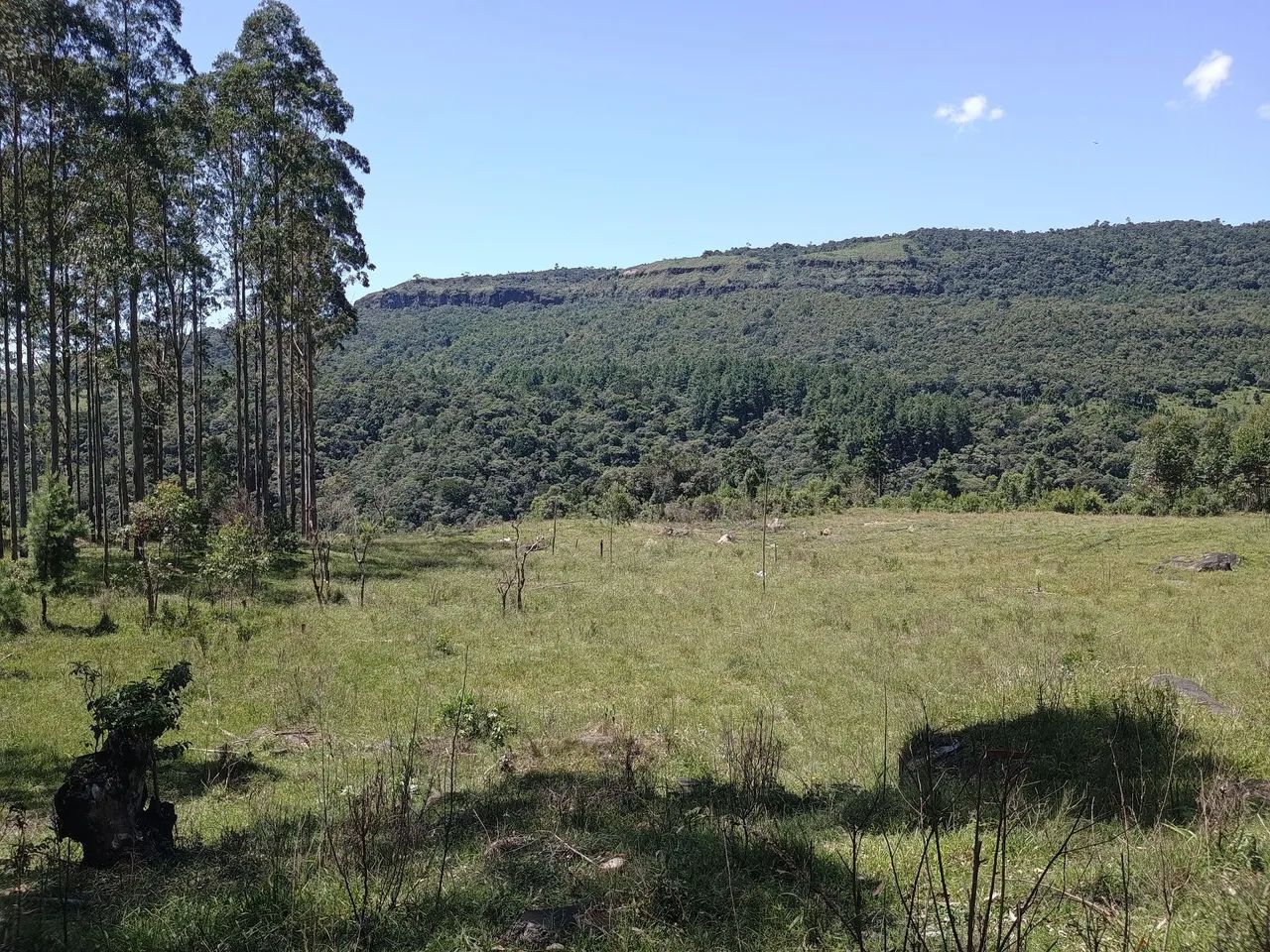 ANITÁPOLIS/SC - Terreno ao pé da serra geral com 30 hectares  - Foto 4