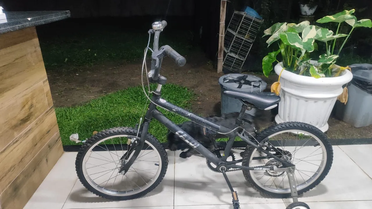 Bicicleta Caloi Infantil Expert - Aro 20 - Preta