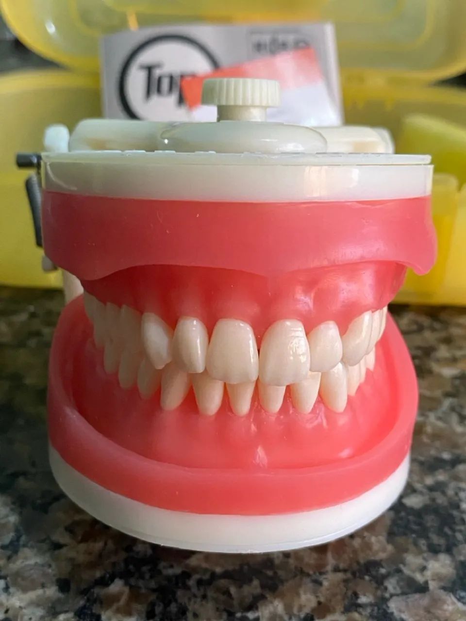 Manequim odontológico Pronew Top Dentística PD100