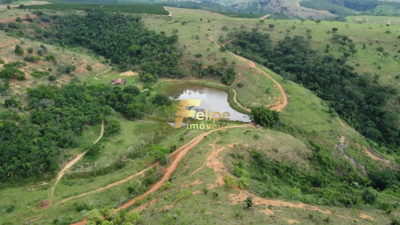 Fazenda 55 alqueires escriturada produtiva com muita água em Colatina.