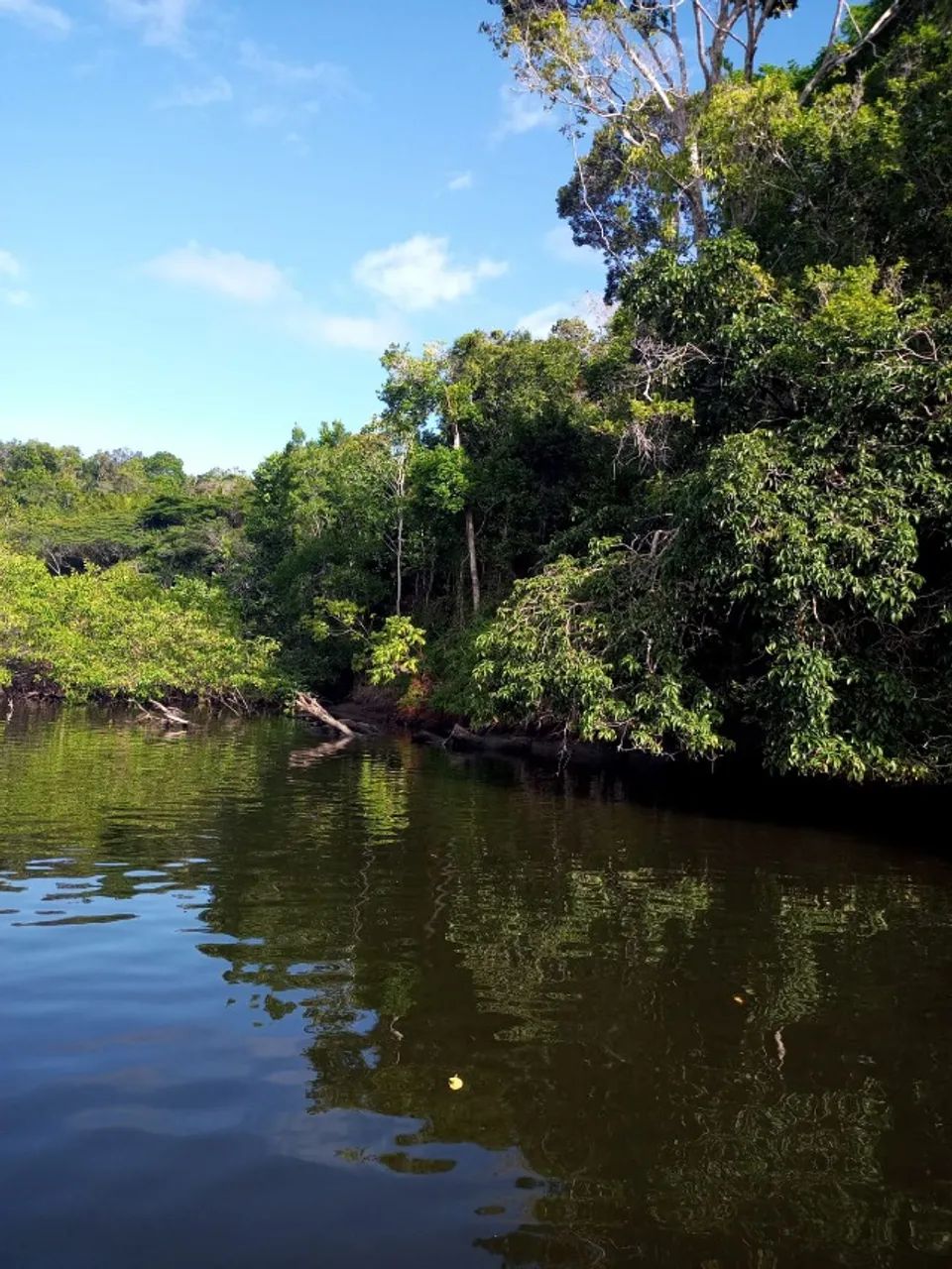 ILHA A VENDA EM CAMAMUM BAHIA  - Foto 5