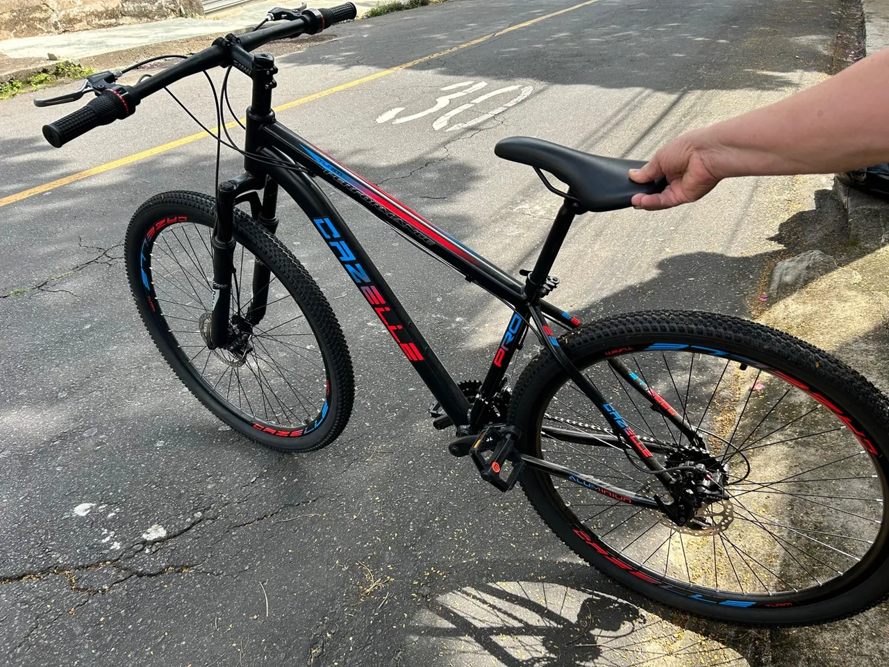 Bicicleta
