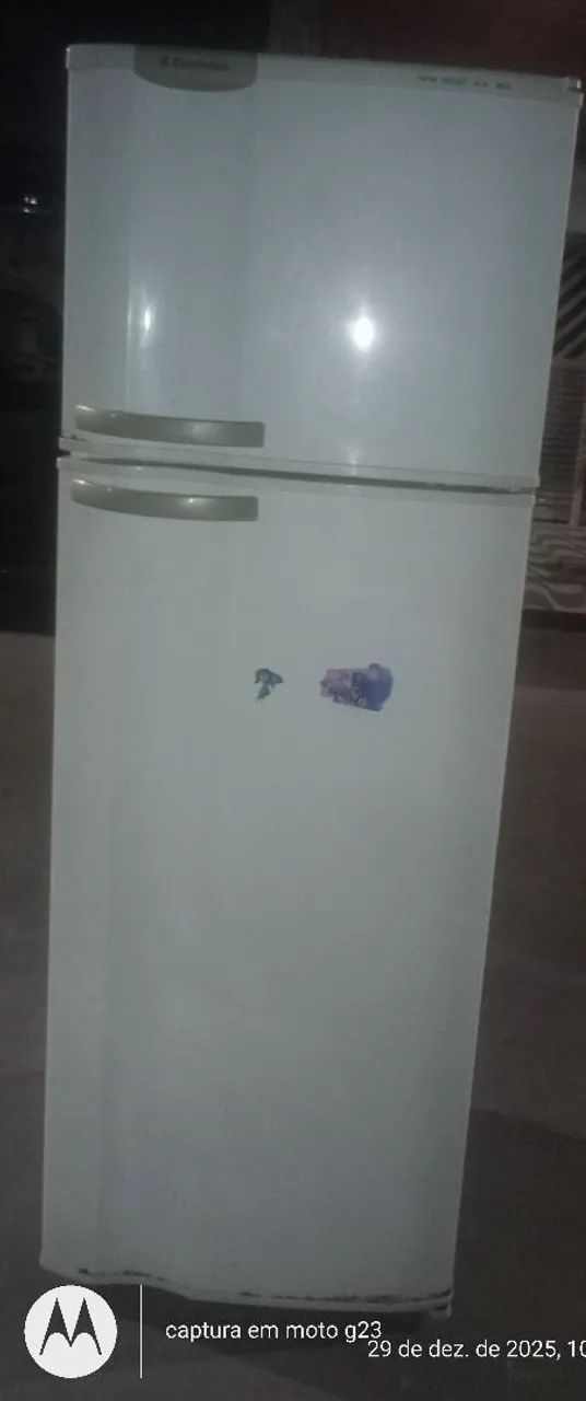 Geladeira Eletrolux 110 v