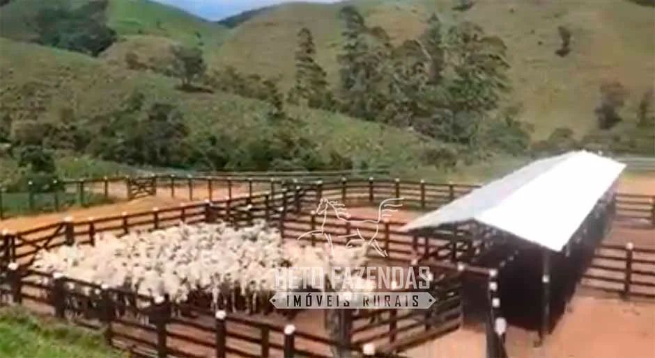 Imóvel para venda com 4840000 metros quadrados em Vila da Grama - Trajano de Moraes - RJ