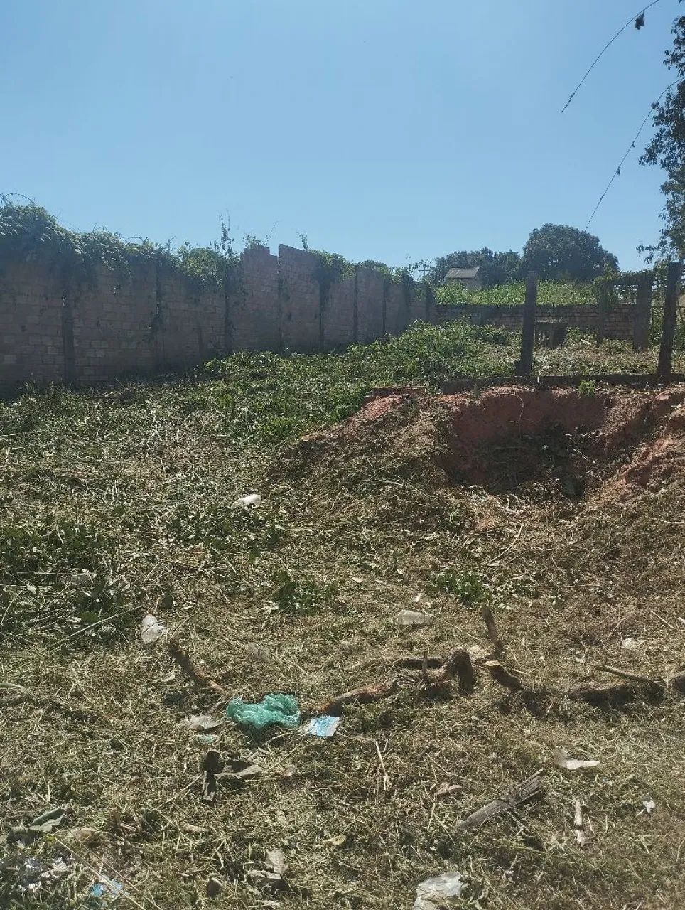 TERRENO  em Santarem - Curua-Una - Foto 3
