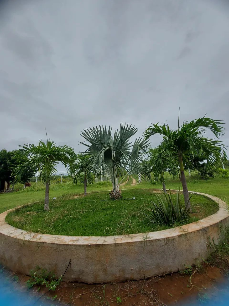 Linda Fazenda em Afonso bezerra com 38.3 hectares - Foto 4