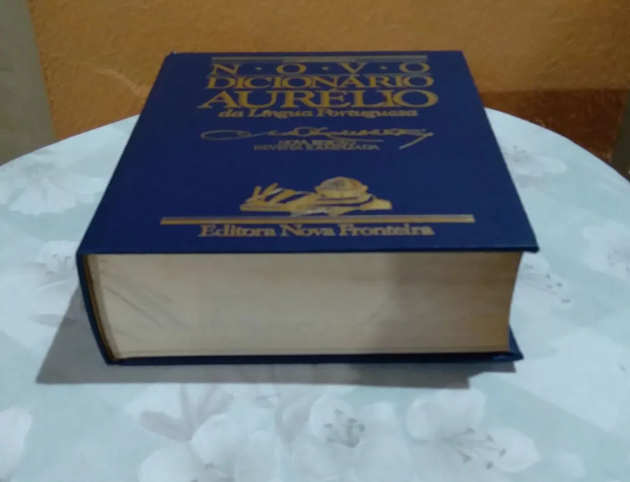 Dicionário aurelio