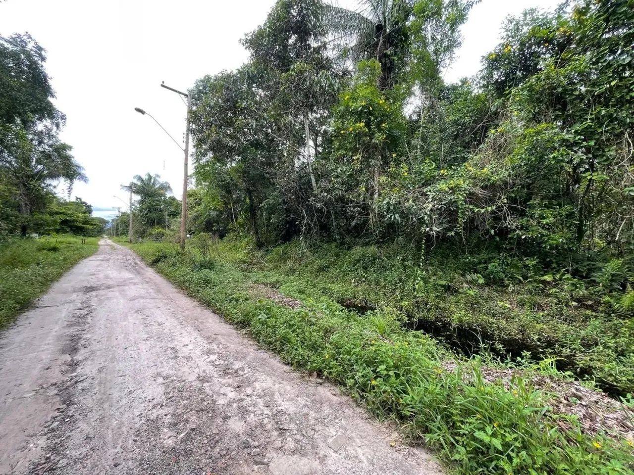 Chácara para Venda em Itanhaém, Chacaras Gaivotas