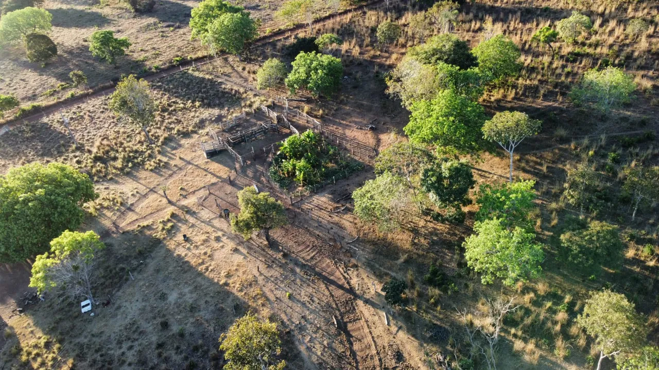 Fazenda de 37 alqueires