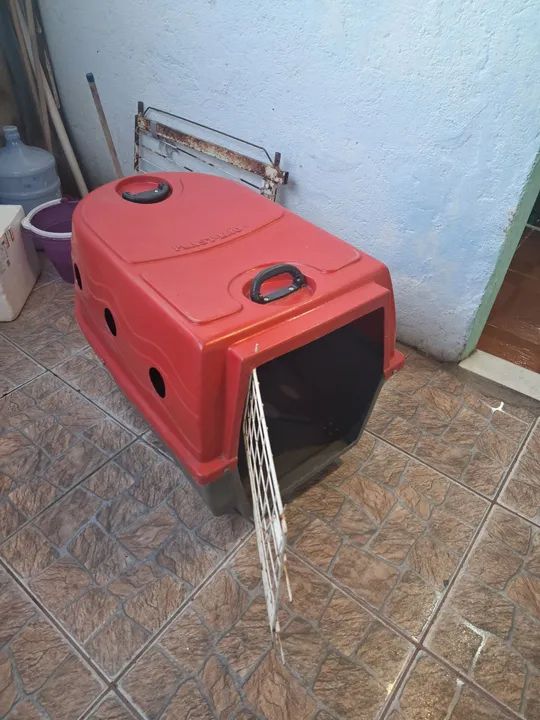 Casa cachorro ou gato 