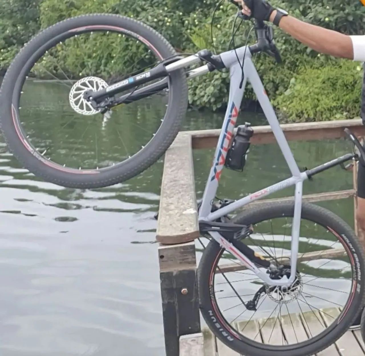 Bicicleta de aro 29