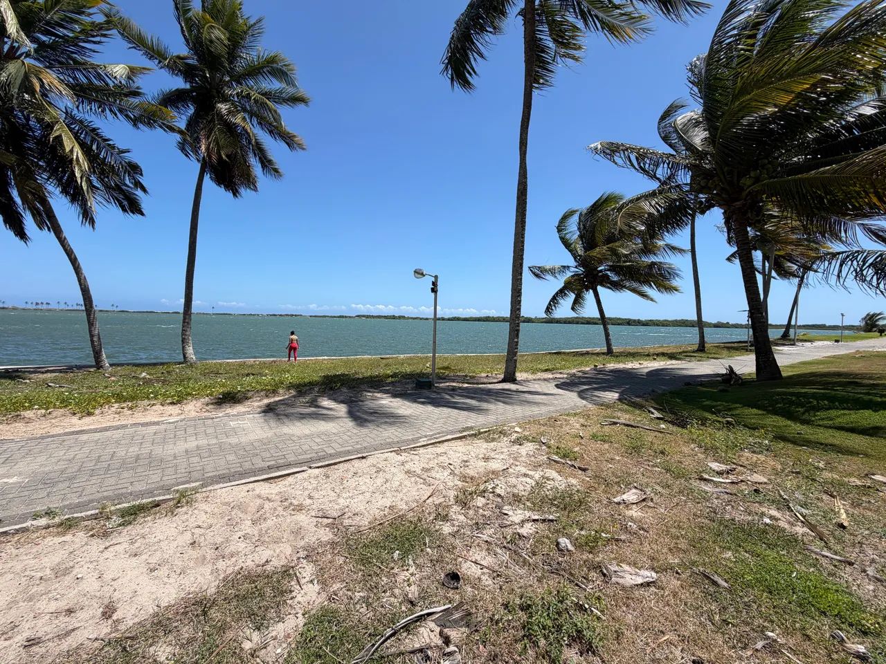 Vendo terreno laguna beira lagoa  - Foto 3