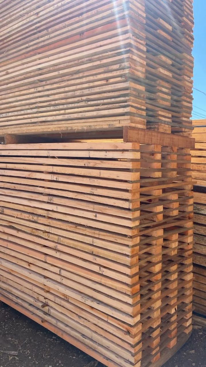 Madeira Pinus comum e tratado eucalipto comum - Foto 4