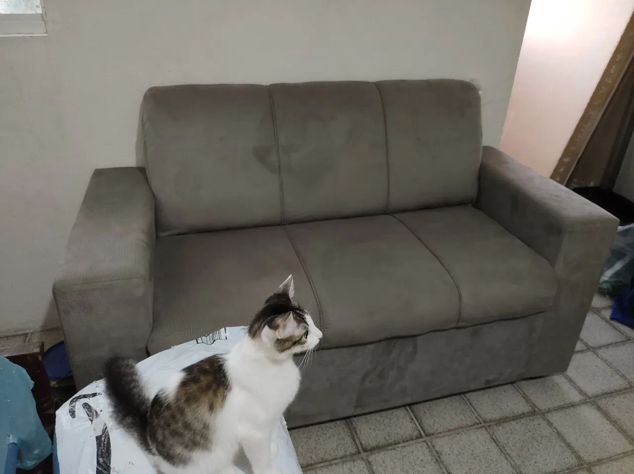 Simple Sofa64717834511363123