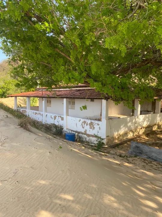 Propriedade na beira do rio São Francisco Traipu/Gararu - Foto 6