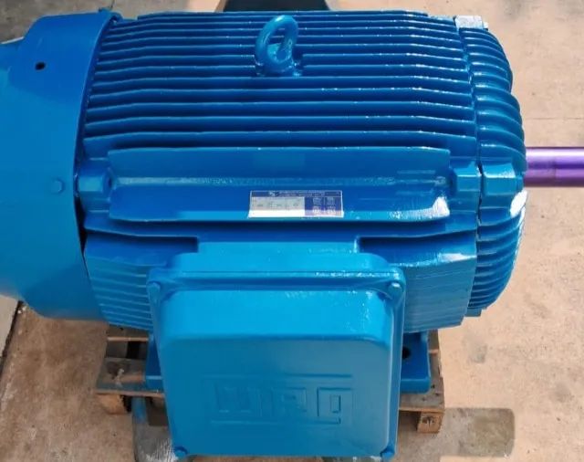 Oferta Motor 250 Cv Weg W21