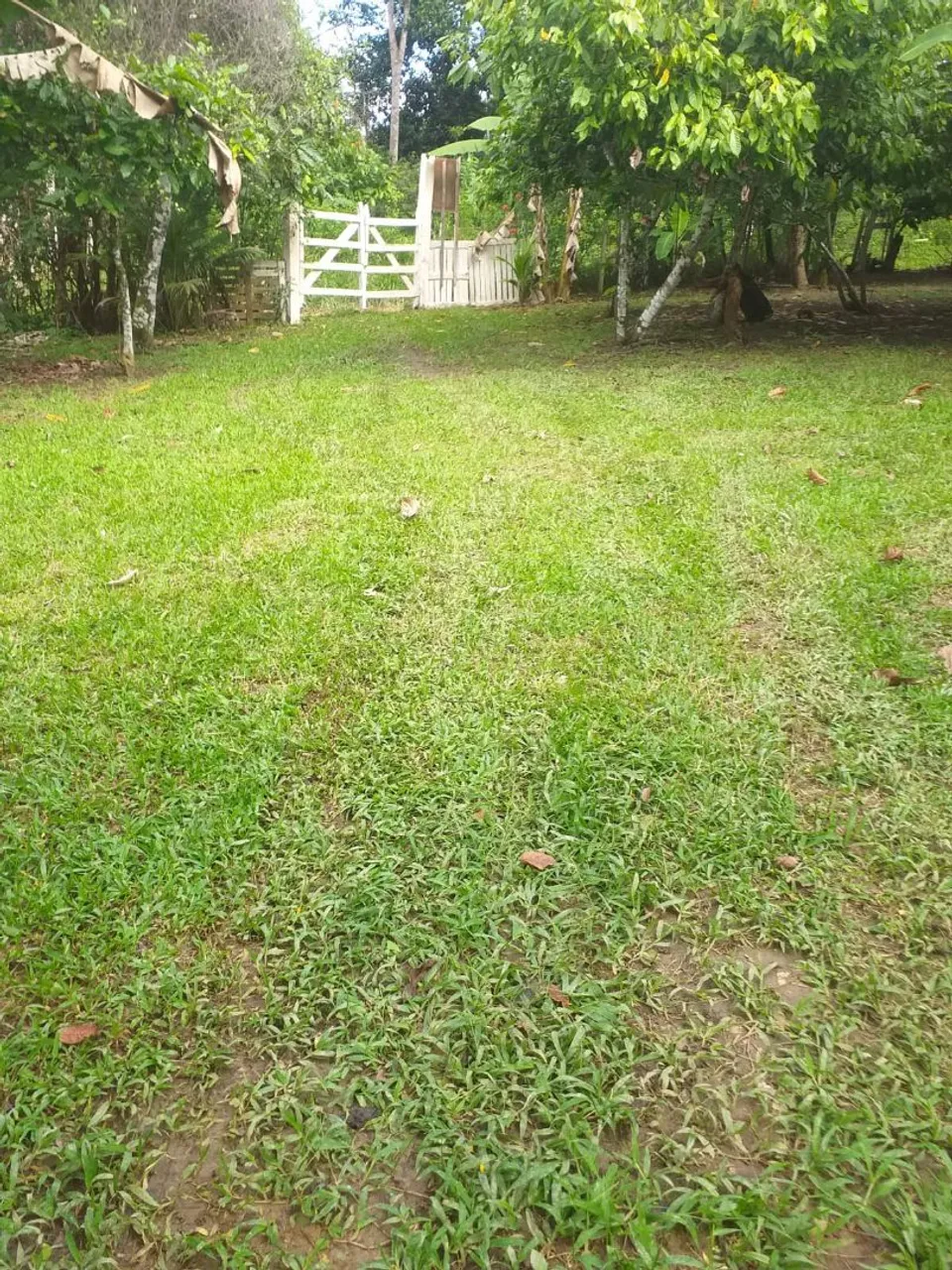 VENDE-SE ESTE SÍTIO VALOR: 90.000 MIL