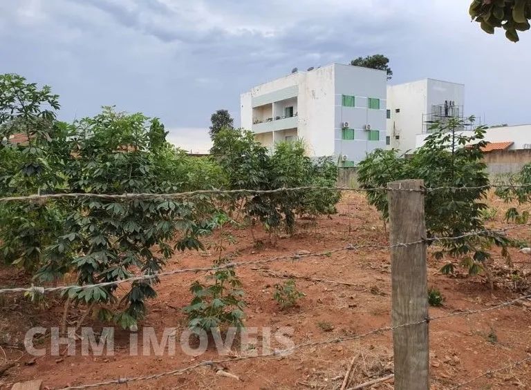 Terreno para investidor 1.150 m², murado em Três Lagoas -MS - Foto 3