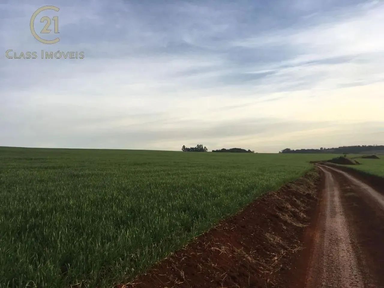 Sítio à venda em Marilândia do Sul, Centro, com 200 m² - Foto 5