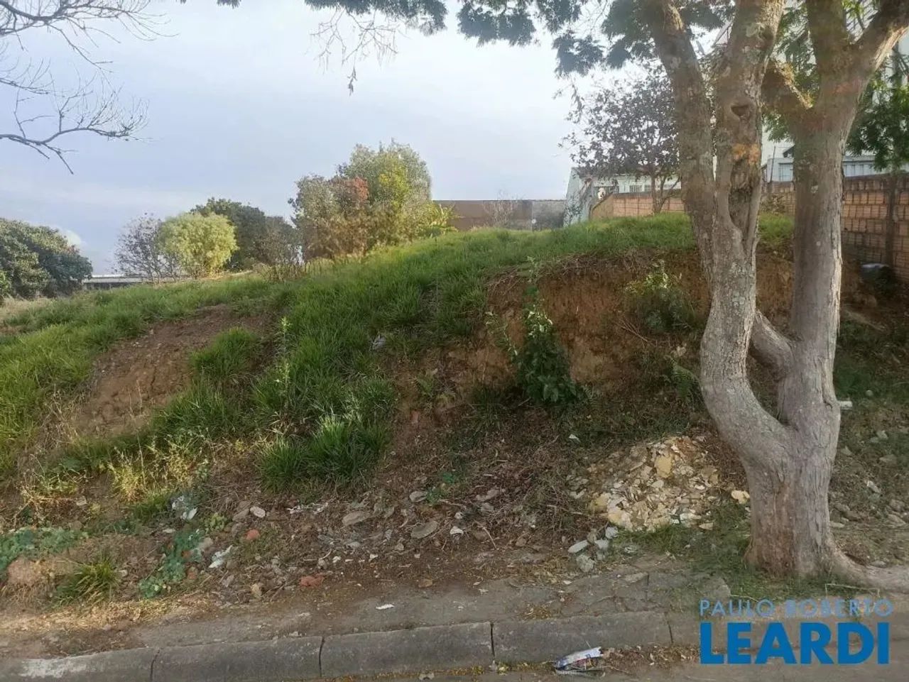 TERRENO - VILA TOGNI - MG - Foto 6