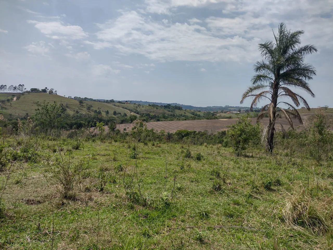 Fazenda/Sítio/Chácara para venda possui 12100 metros quadrados em Rural - Torre de Pedra -