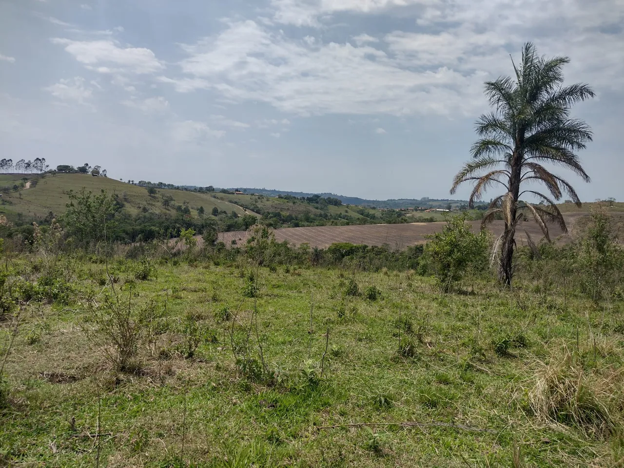 Fazenda/Sítio/Chácara para venda possui 12100 metros quadrados em Rural - Torre de Pedra -