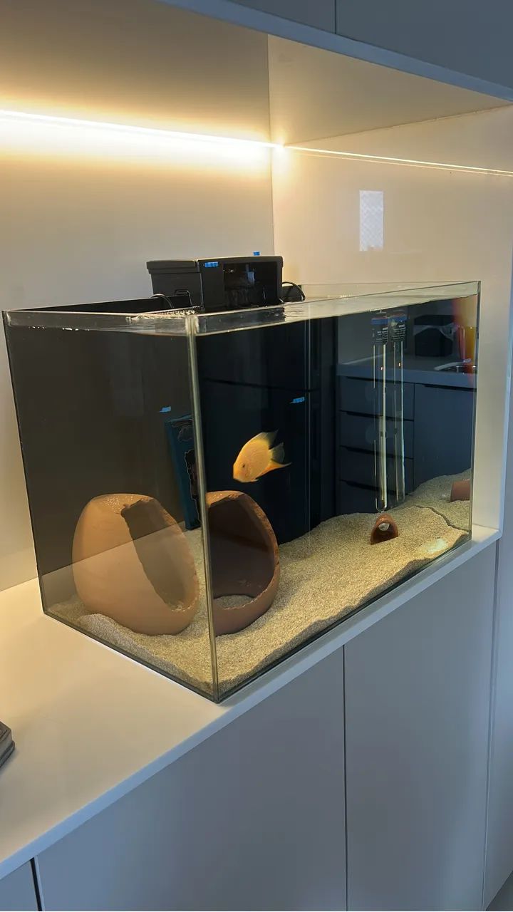 Aquário 60x35x42