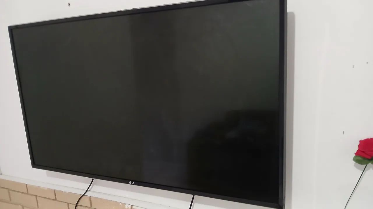 Televisão